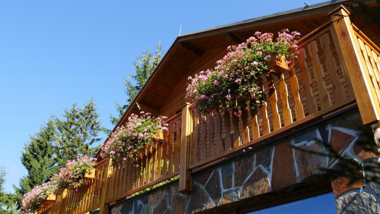 Pension Aspen Harrachov Exterior foto